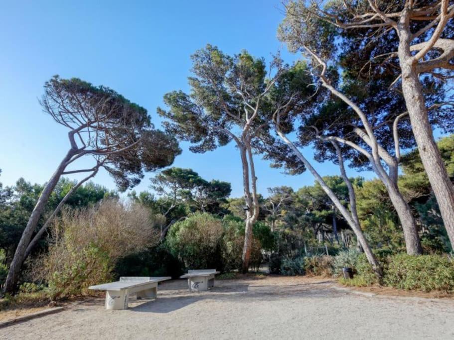 Superbe Appartement 50M De La Plage En Bord De Mer Hyères Exteriér fotografie